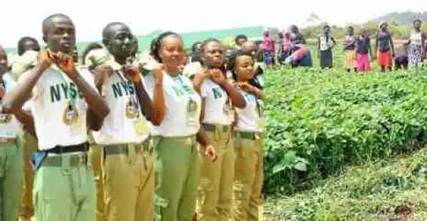NYSC Members Now To Be Posted To Farms — Coordinator